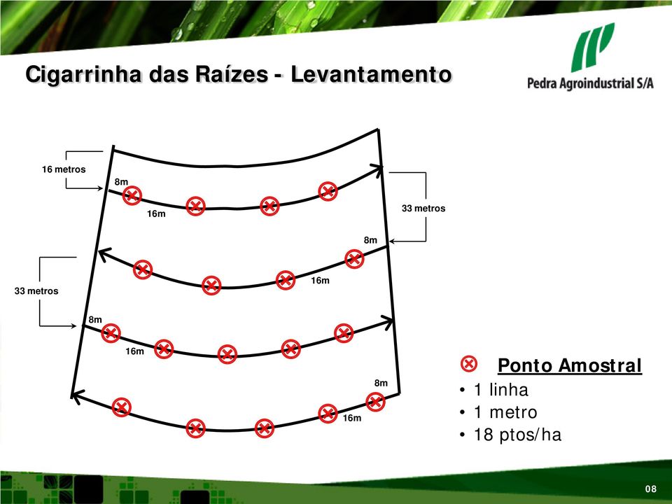 metros 33 metros 16m 8m 8m 16m 16m