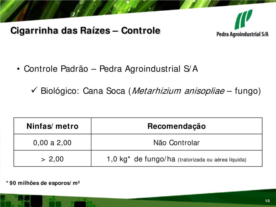 fungo) Ninfas/metro Recomendação 0,00 a 2,00 Não Controlar > 2,00