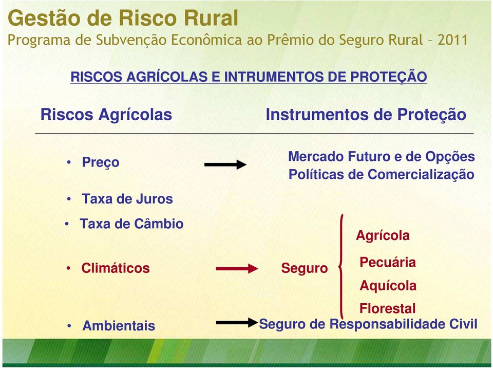 Preço Taxa de Juros Taxa de Câmbio Mercado Futuro e de Opções Políticas de