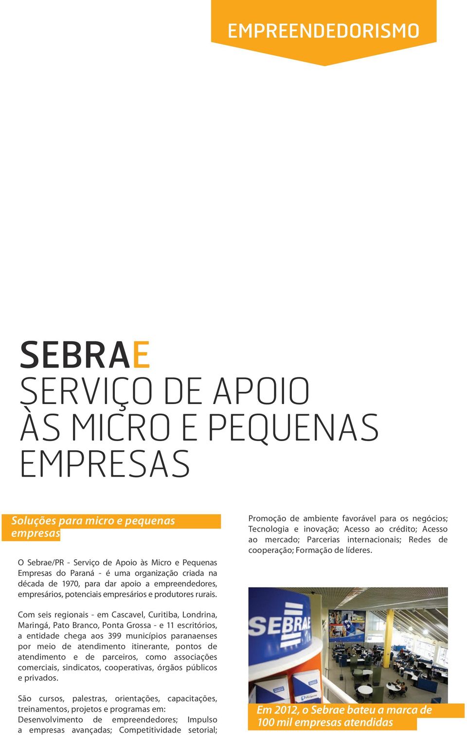 Promoção de ambiente favorável para os negócios; Tecnologia e inovação; Acesso ao crédito; Acesso ao mercado; Parcerias internacionais; Redes de cooperação; Formação de líderes.