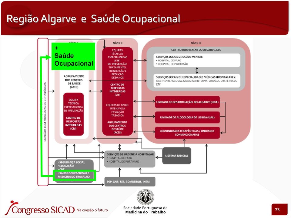 Ocupacional +