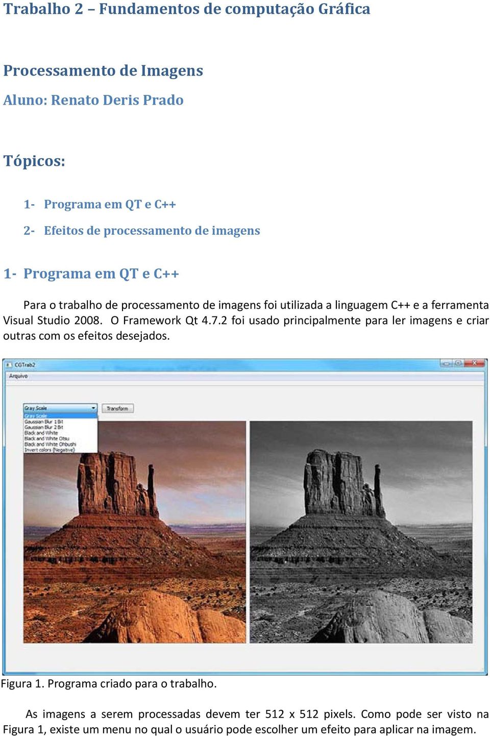 2008. O Framework Qt 4.7.2 foi usado principalmente para ler imagens e criar outras com os efeitos desejados. Figura 1. Programa criado para o trabalho.