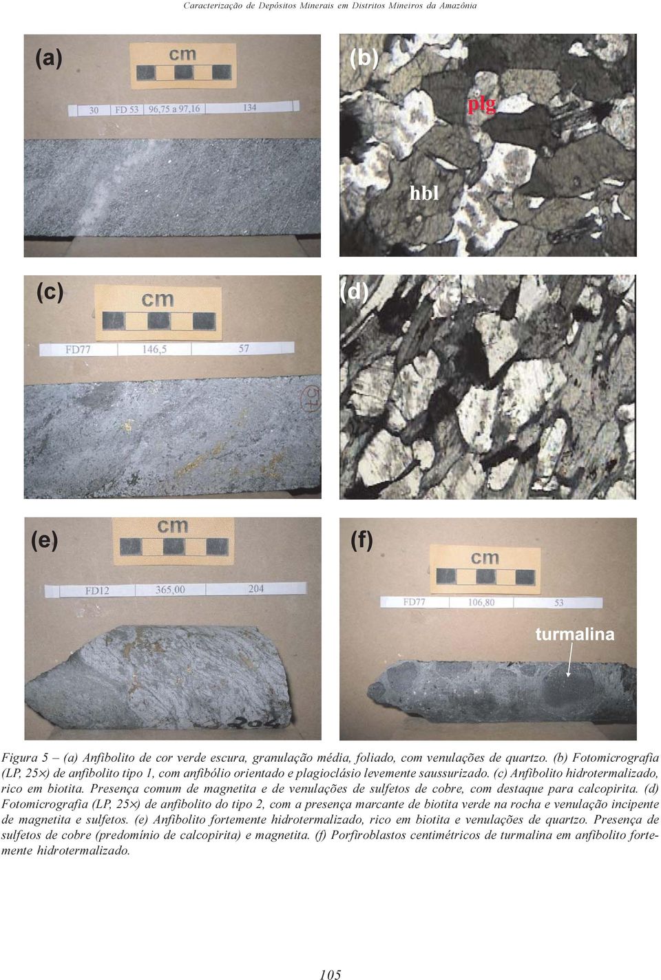 Presença comum de magnetita e de venulações de sulfetos de cobre, com destaque para calcopirita.