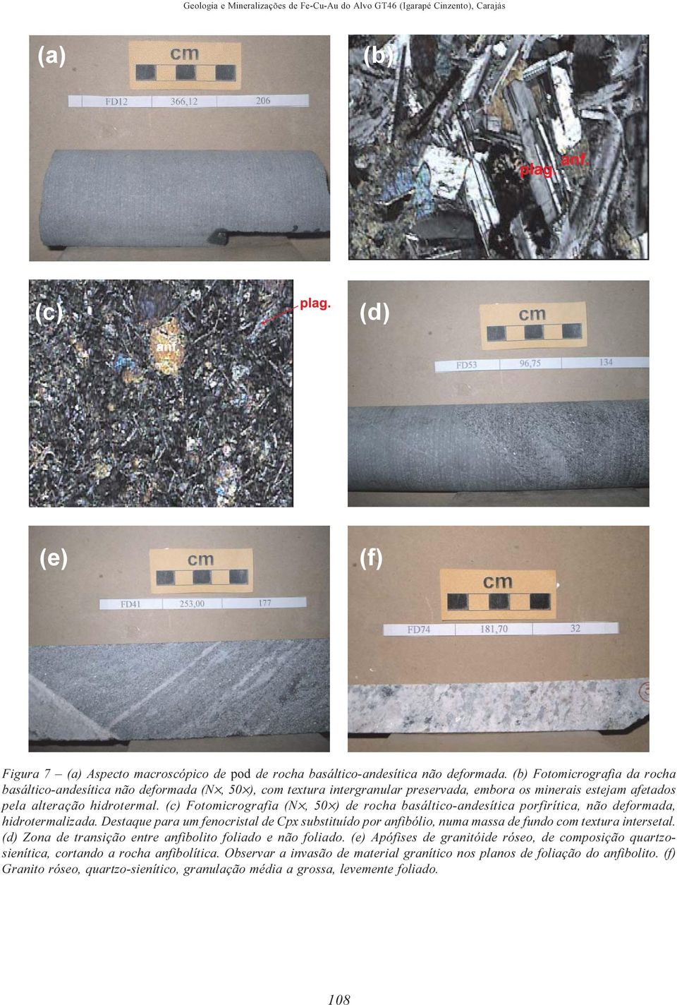 (c) Fotomicrografia (N, 50 ) de rocha basáltico-andesítica porfirítica, não deformada, hidrotermalizada.