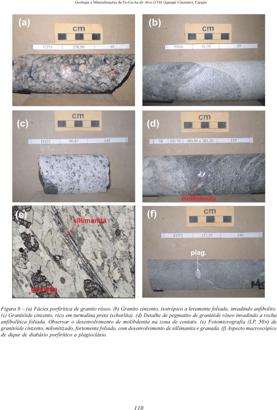 (d) Detalhe de pegmatito de granitóde róseo invadindo a rocha anfibolítica foliada. Observar o desenvolvimento de molibdenita na zona de contato.