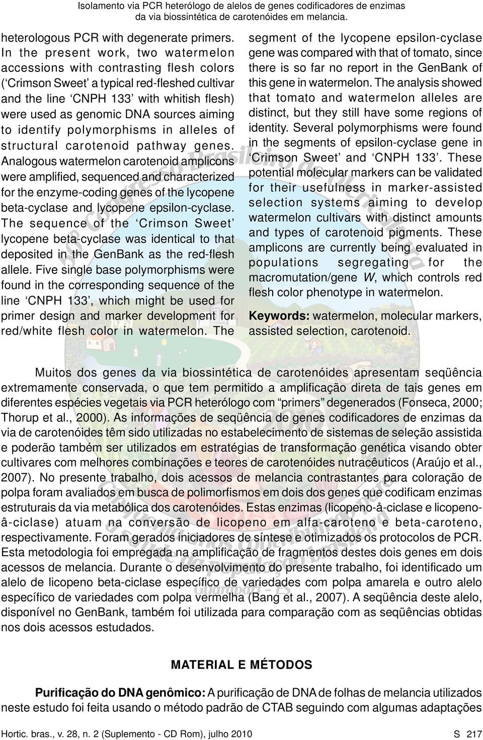 aiming to identify polymorphisms in alleles of structural carotenoid pathway genes.