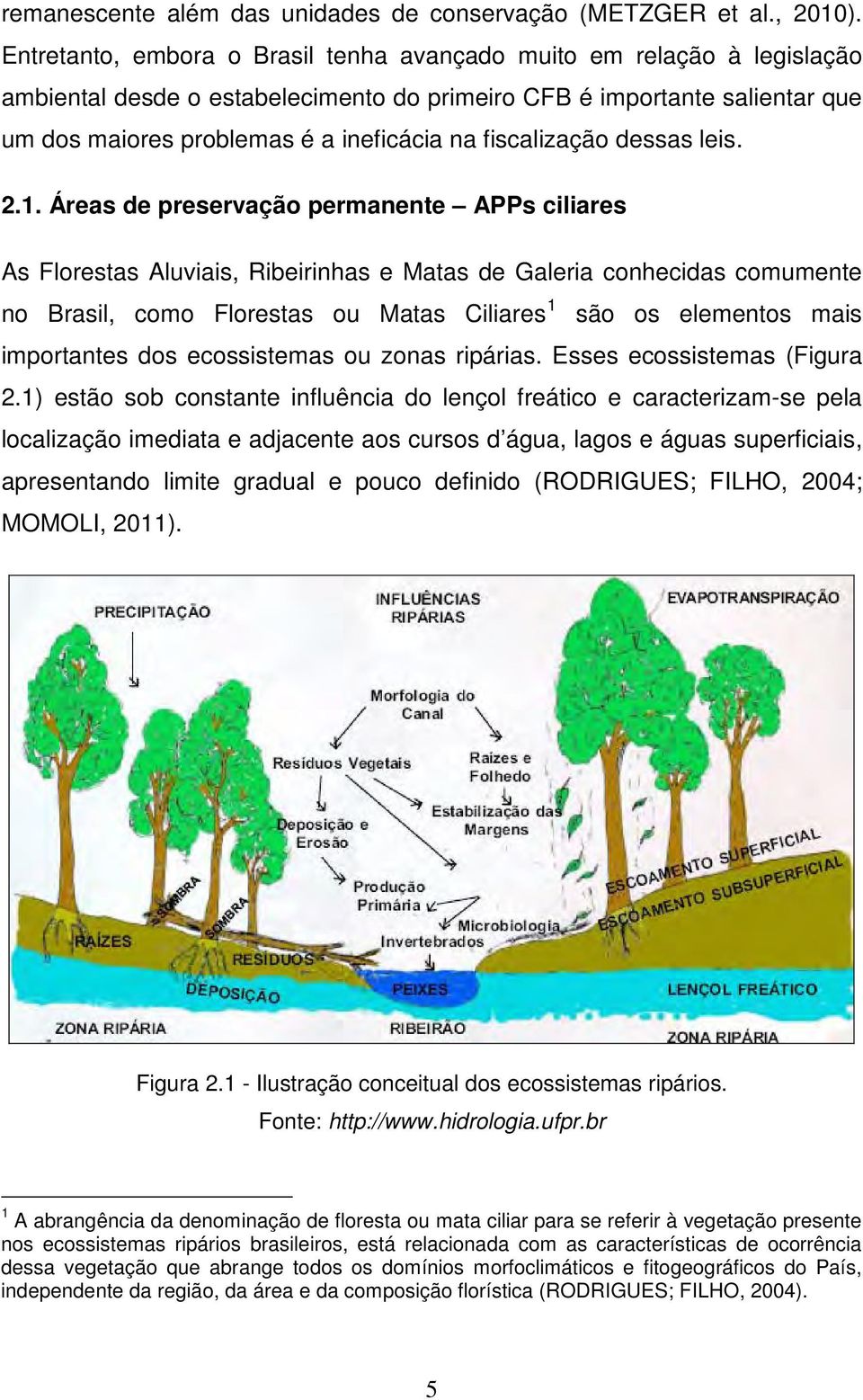 fiscalização dessas leis. 2.1.