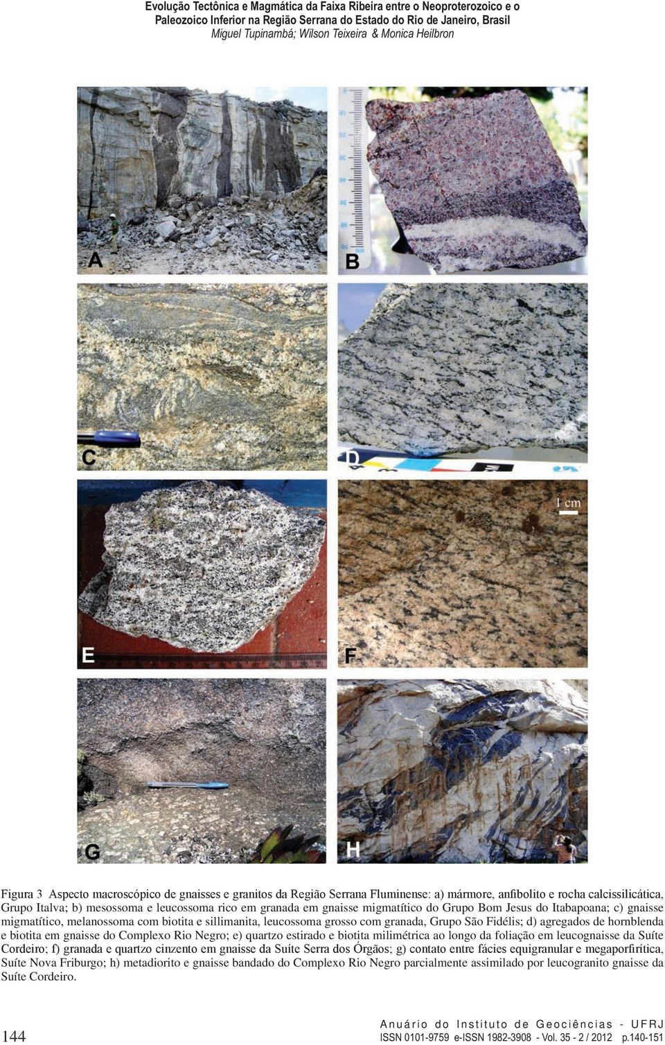 gnaisse do Complexo Rio Negro; e) quartzo estirado e biotita milimétrica ao longo da foliação em leucognaisse da Suíte Cordeiro; f) granada e quartzo cinzento em gnaisse da Suíte Serra dos Órgãos; g)