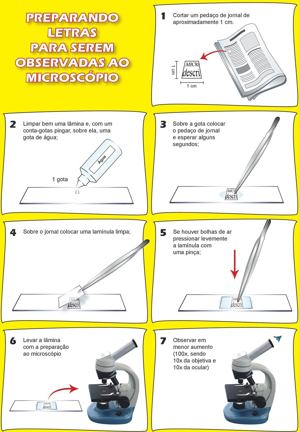 jornal e esperar alguns segundos; Água 1 gota 4 Sobre o jornal colocar uma lamínula limpa; 5 Se houver bolhas de ar pressionar