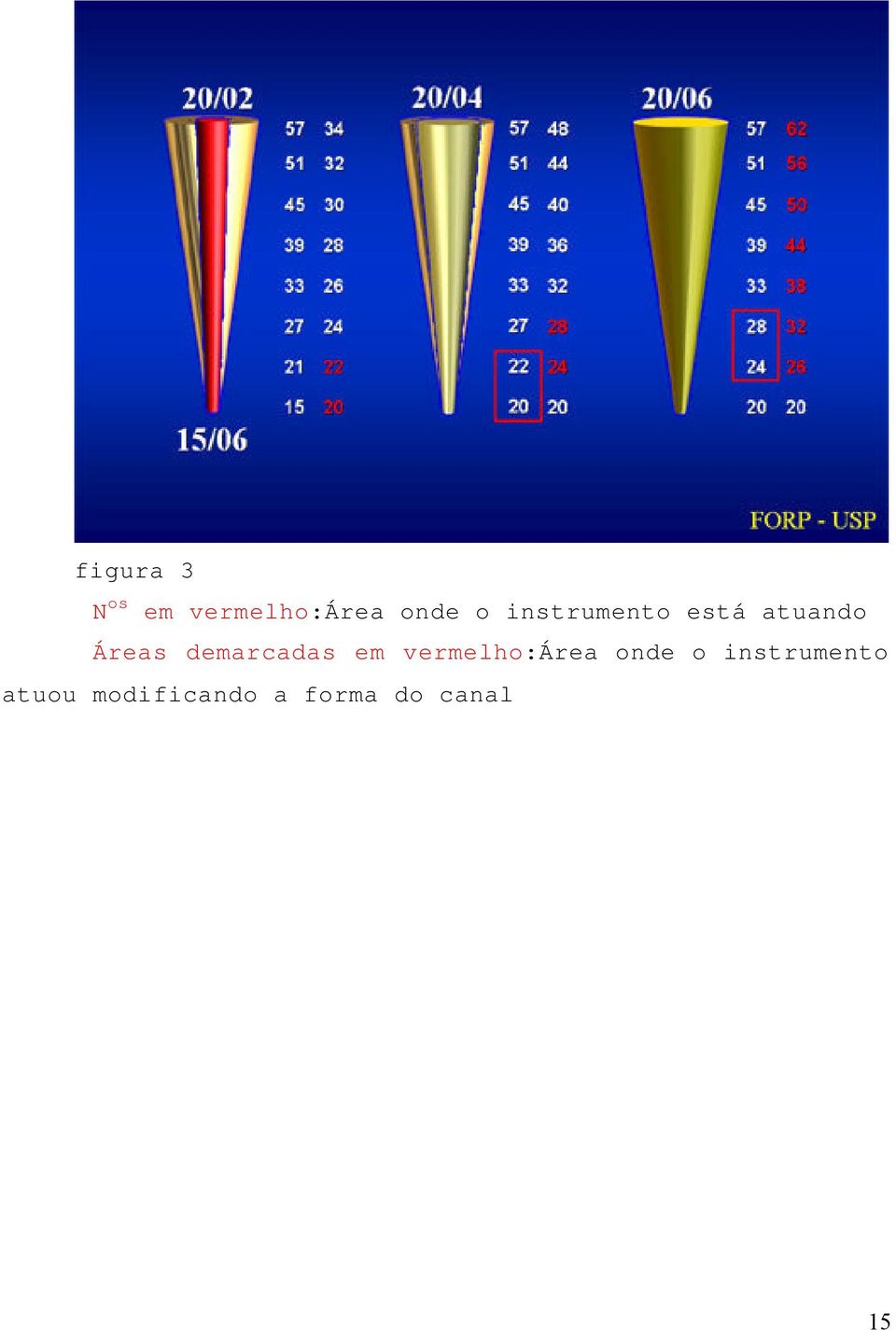 demarcadas em vermelho:área onde o