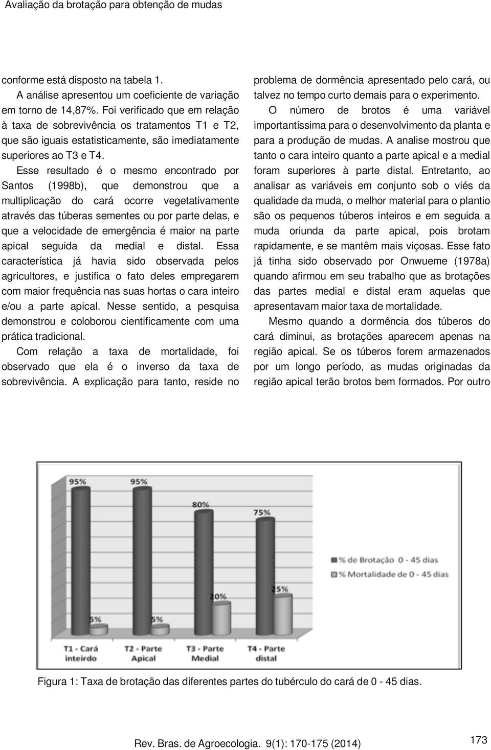 Esse resultado é o mesmo encontrado por Santos (1998b), que demonstrou que a multiplicação do cará ocorre vegetativamente através das túberas sementes ou por parte delas, e que a velocidade de