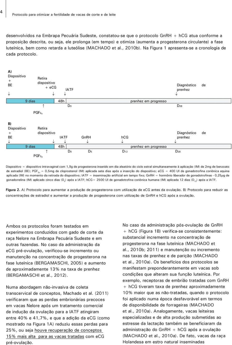 A) Dispositivo + BE Retira dispositivo + ecg Diagnóstico IATF prenhez 9 dias 48h prenhez em progresso D0 D28 de PGF2α B) Dispositivo + BE Retira dispositivo IATF GnRH hcg 9 dias 48h prenhez em