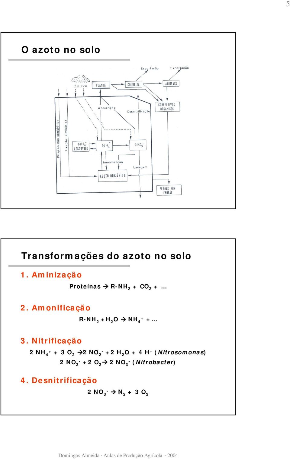 Amonificação R-NH 2 +H 2 O NH 4+ + 3.