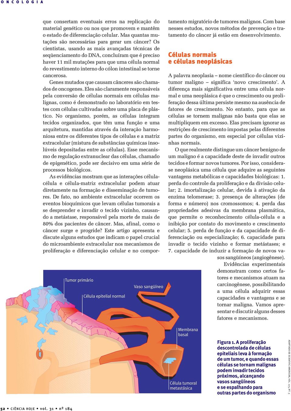 Os cientistas, usando as mais avançadas técnicas de seqüenciamento do DNA, concluíram que é preciso haver 11 mil mutações para que uma célula normal do revestimento interno do cólon intestinal se