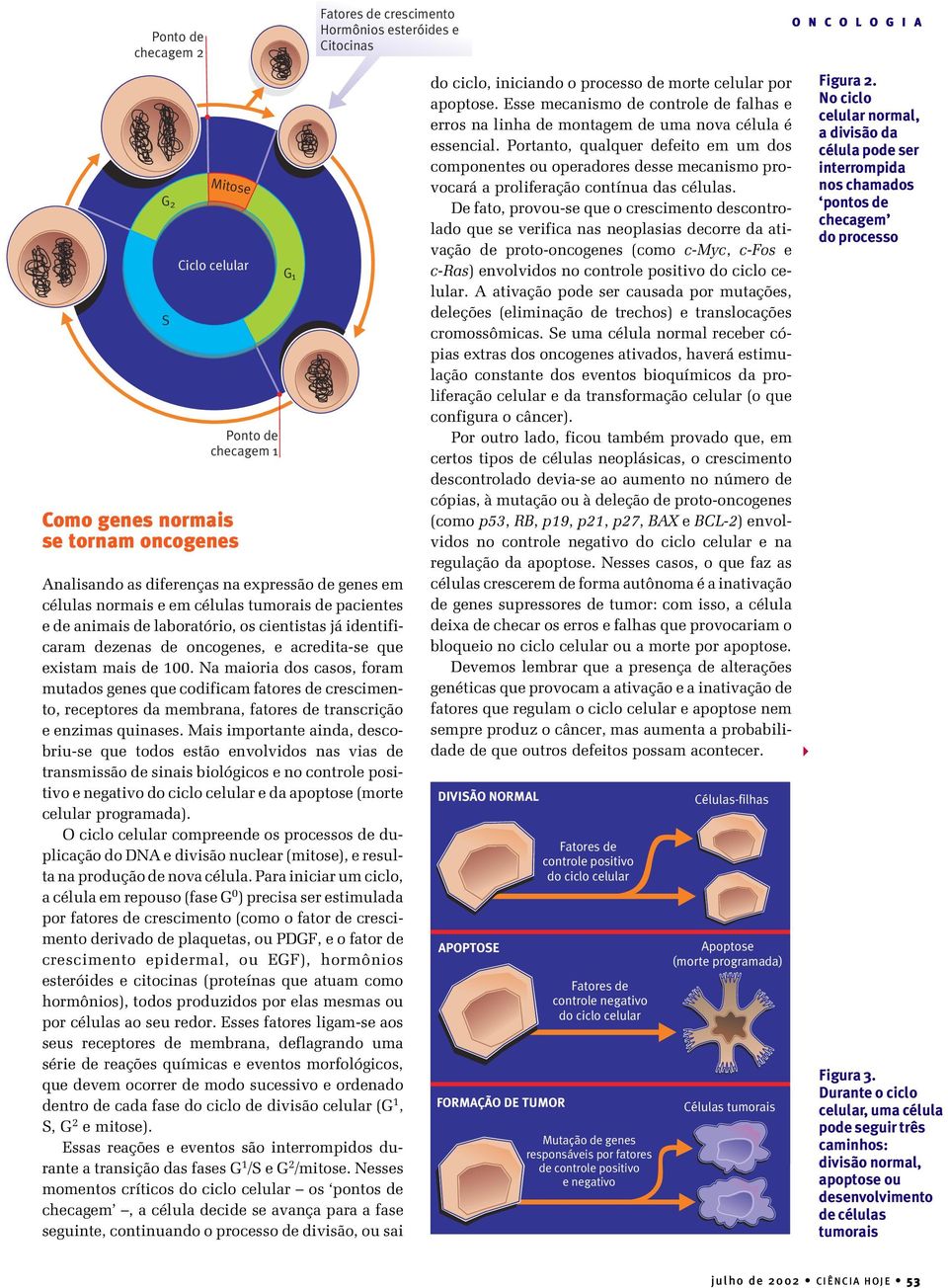 Na maioria dos casos, foram mutados genes que codificam fatores de crescimento, receptores da membrana, fatores de transcrição e enzimas quinases.