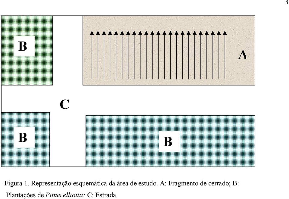 de estudo.