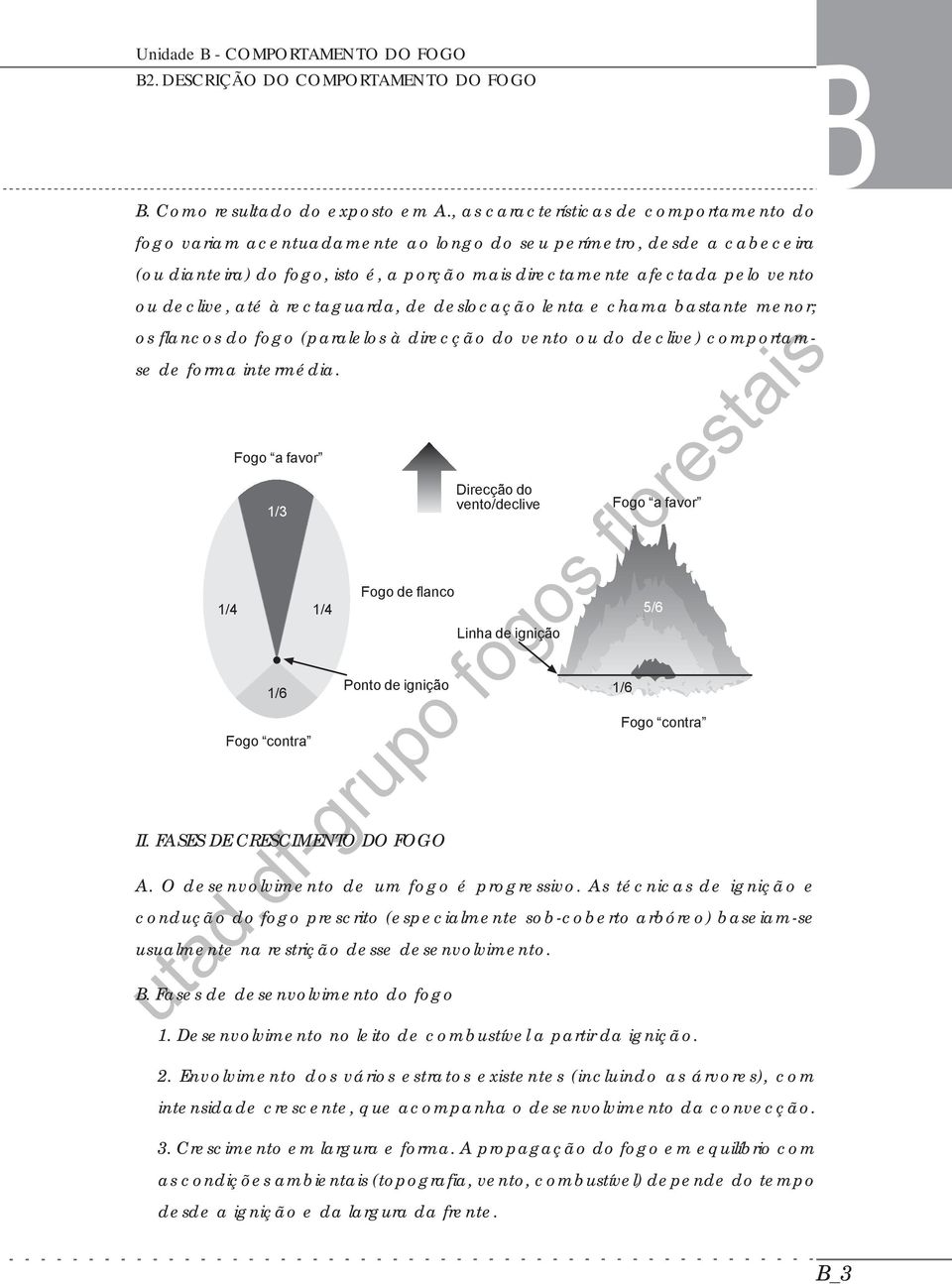 declive, até à rectaguarda, de deslocação lenta e chama bastante menor; os flancos do fogo (paralelos à direcção do vento ou do declive) comportamse de forma intermédia.