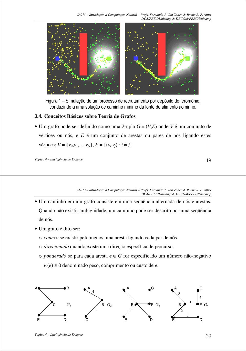 vértices: V = {v 0,v 1,,v N }, E = {(v i,v j ) : i j}. 19 Um caminho em um grafo consiste em uma seqüência alternada de nós e arestas.