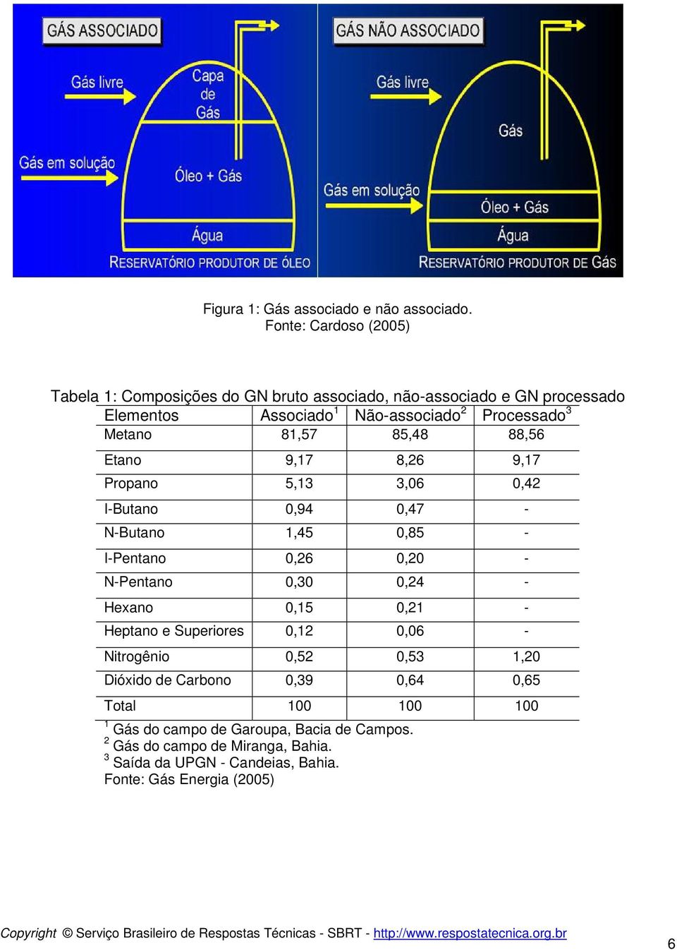 Metano 81,57 85,48 88,56 Etano 9,17 8,26 9,17 Propano 5,13 3,06 0,42 I-Butano 0,94 0,47 - N-Butano 1,45 0,85 - I-Pentano 0,26 0,20 - N-Pentano 0,30 0,24