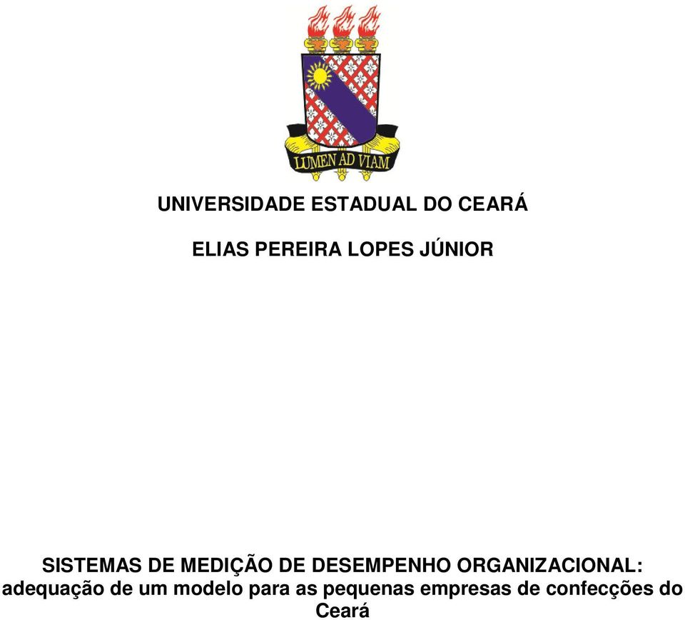 DESEMPENHO ORGANIZACIONAL: adequação de um