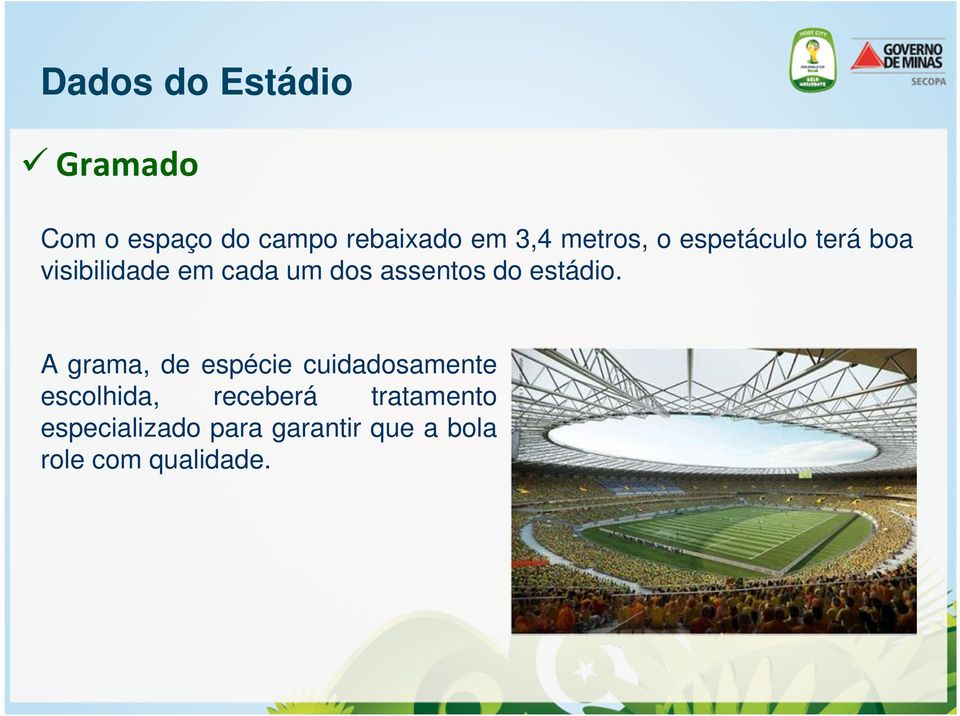 do estádio.