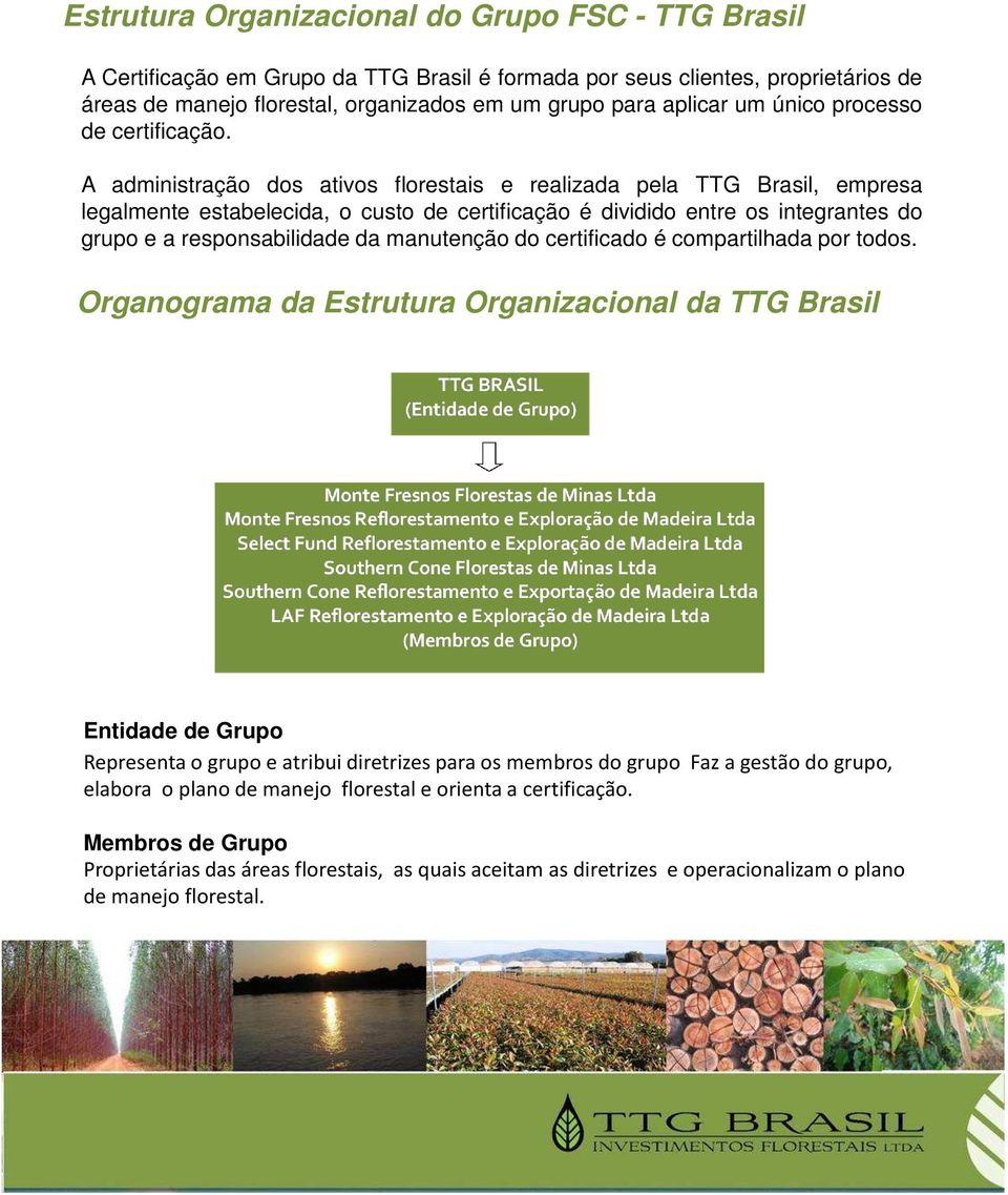 A administração dos ativos florestais e realizada pela TTG Brasil, empresa legalmente estabelecida, o custo de certificação é dividido entre os integrantes do grupo e a responsabilidade da manutenção