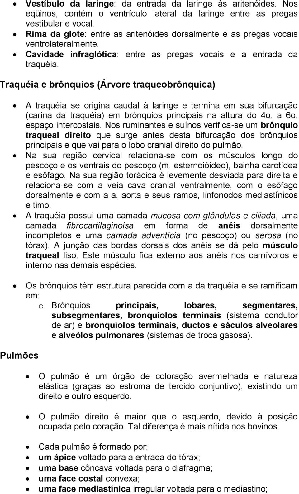 Traquéia e brônquios (Árvore traqueobrônquica) A traquéia se origina caudal à laringe e termina em sua bifurcação (carina da traquéia) em brônquios principais na altura do 4o. a 6o.