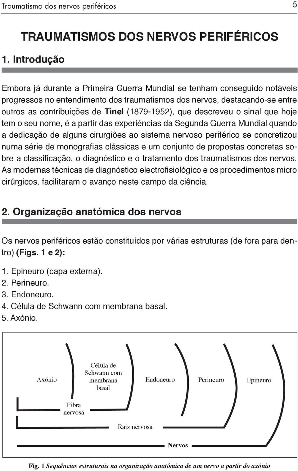 (1879-1952), que descreveu o sinal que hoje tem o seu nome, é a partir das experiências da Segunda Guerra Mundial quando a dedicação de alguns cirurgiões ao sistema nervoso periférico se concretizou