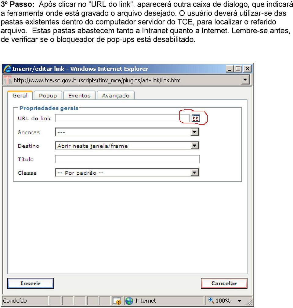 O usuário deverá utilizar-se das pastas existentes dentro do computador servidor do TCE, para