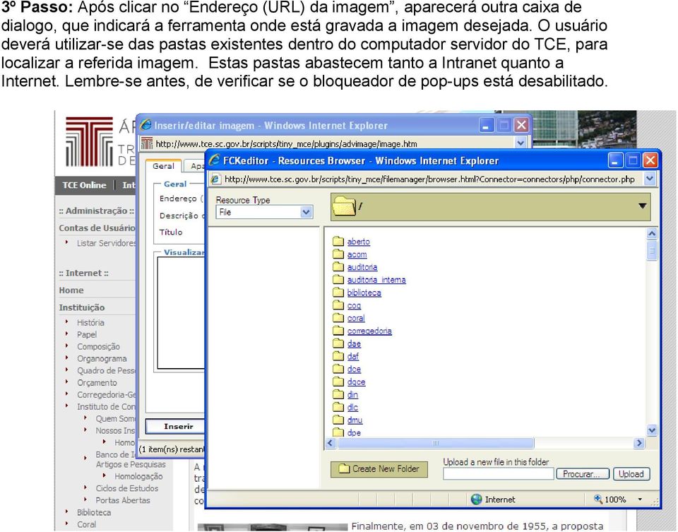 O usuário deverá utilizar-se das pastas existentes dentro do computador servidor do TCE, para