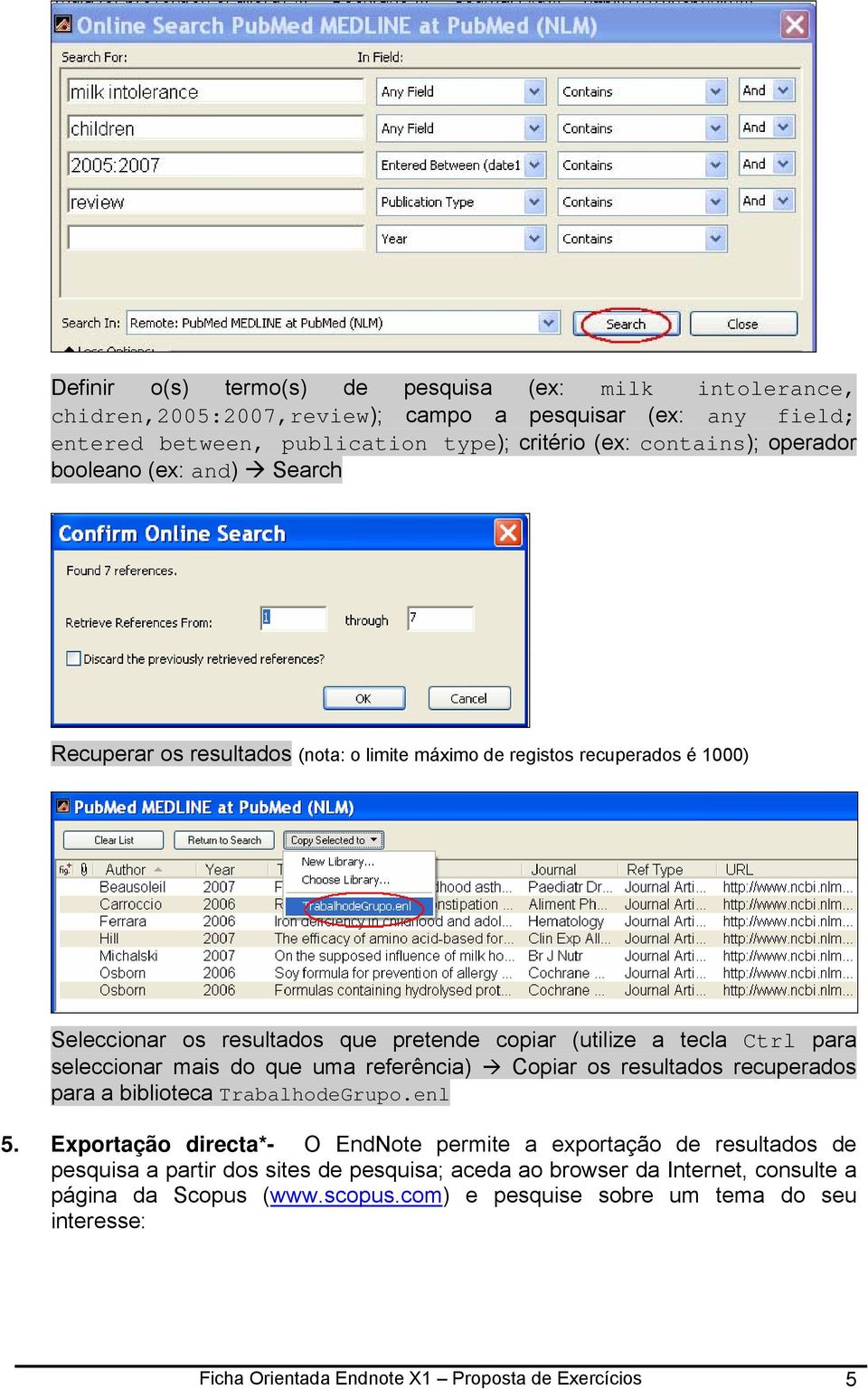 mais do que uma referência) Copiar os resultados recuperados para a biblioteca TrabalhodeGrupo.enl 5.