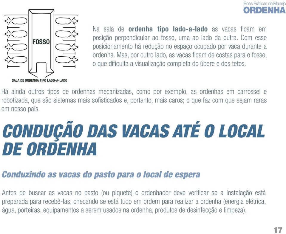 SALA DE ORDENHA TIPO LADO-A-LADO Há ainda outros tipos de ordenhas mecanizadas, como por exemplo, as ordenhas em carrossel e robotizada, que são sistemas mais sofi sticados e, portanto, mais caros; o