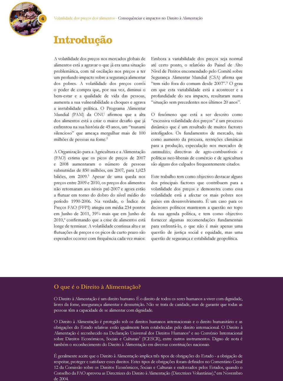 A volatilidade dos preços corrói o poder de compra que, por sua vez, diminui o bem-estar e a qualidade de vida das pessoas, aumenta a sua vulnerabilidade a choques e agrava a instabilidade política.