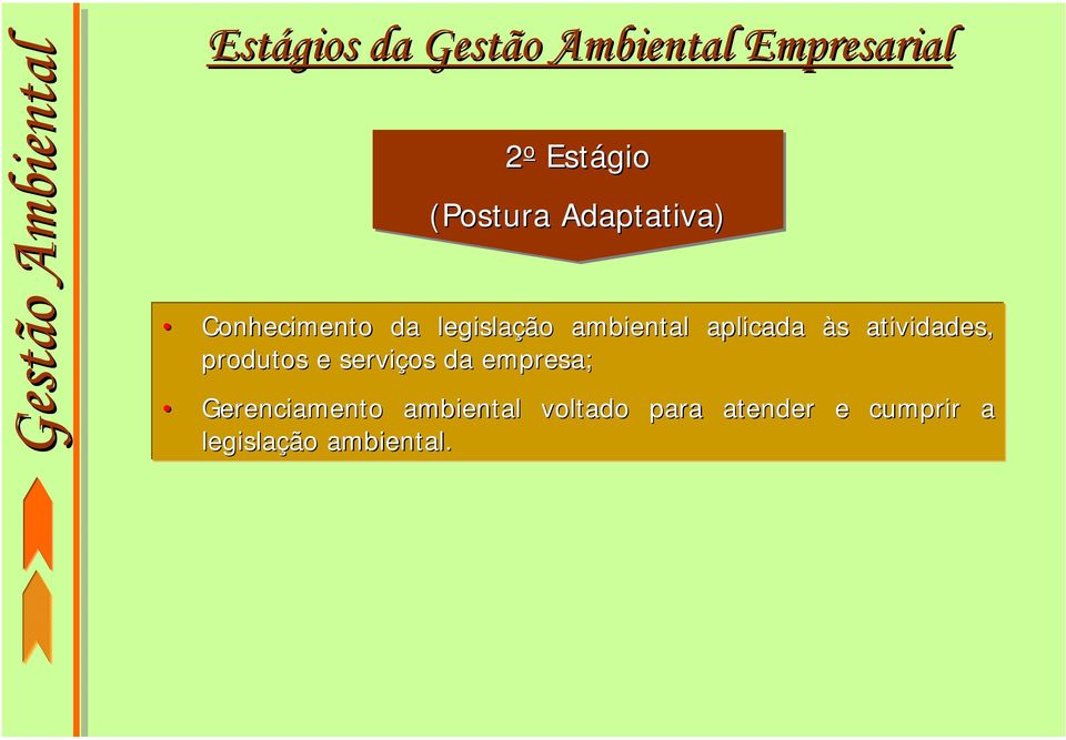 s atividades, produtos e serviços da empresa; Gerenciamento