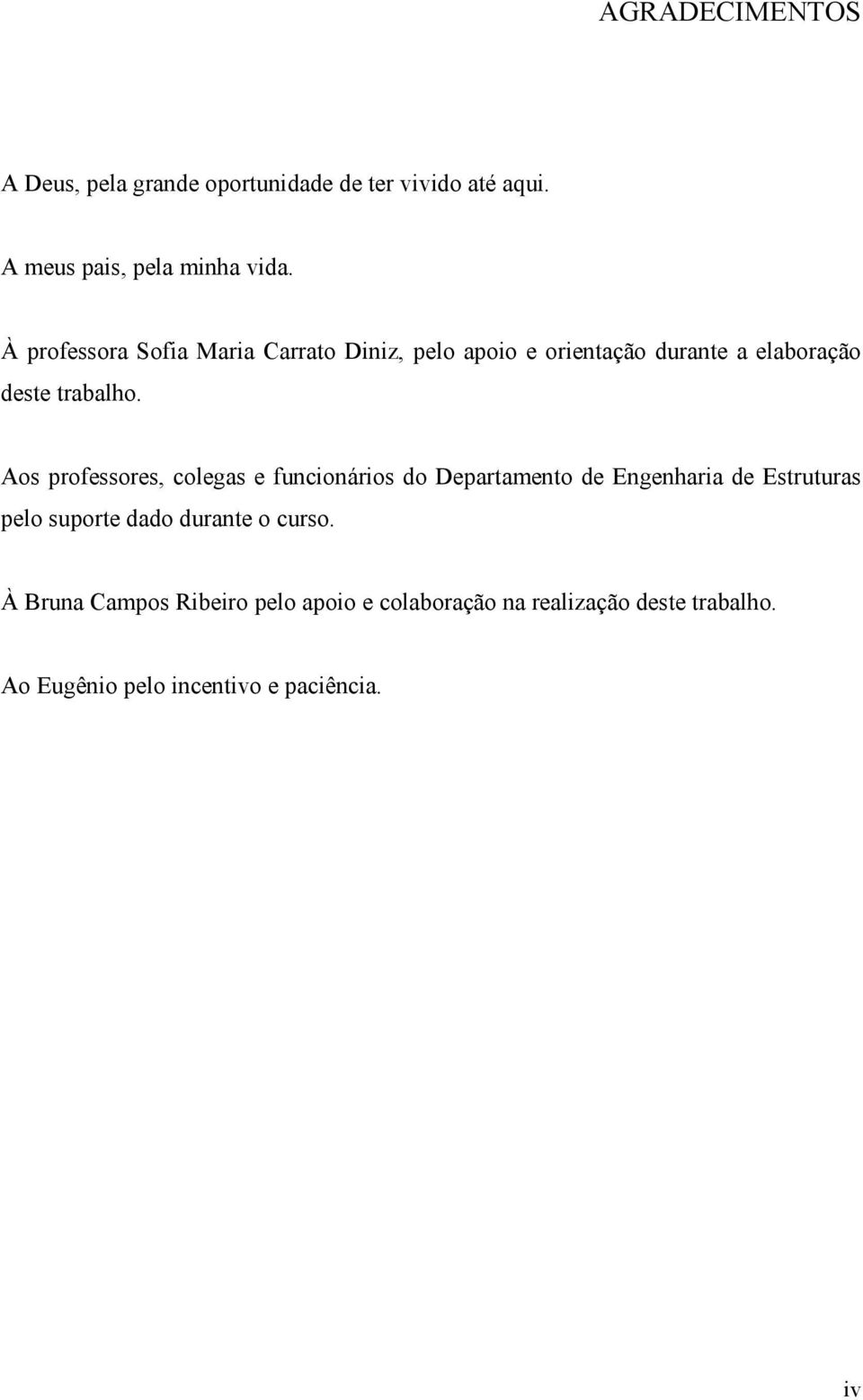 Aos professores, colegas e funcionários do Departamento de Engenharia de Estruturas pelo suporte dado durante