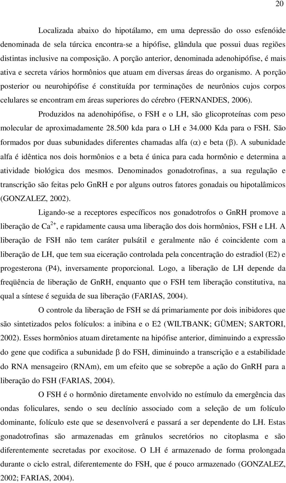 A porção posterior ou neurohipófise é constituída por terminações de neurônios cujos corpos celulares se encontram em áreas superiores do cérebro (FERNANDES, 2006).