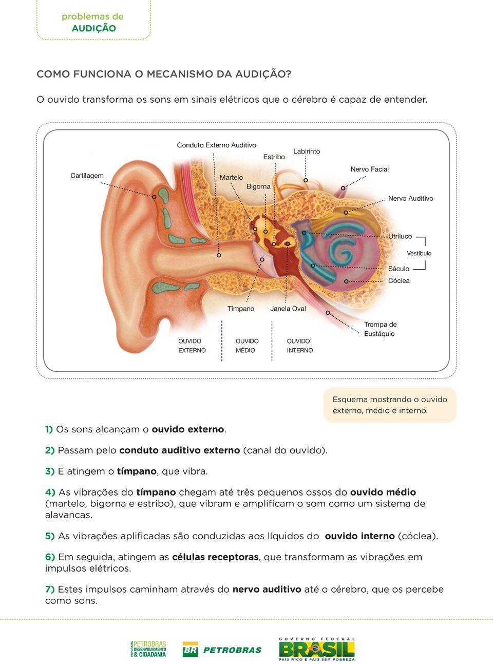 Trompa de Eustáquio Esquema mostrando o ouvido externo, médio e interno. 1) Os sons alcançam o ouvido externo. 2) Passam pelo conduto auditivo externo (canal do ouvido).