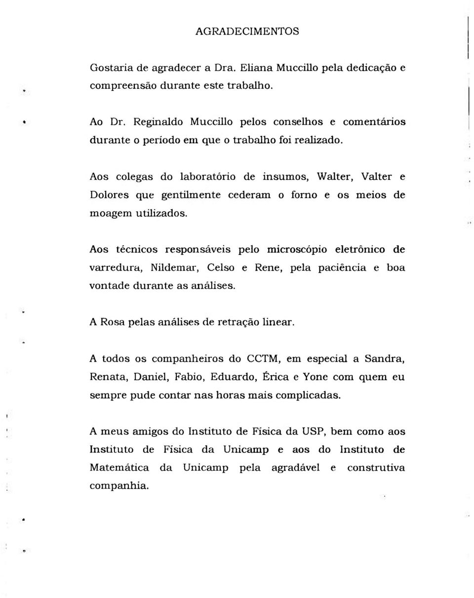 Aos colegas do laboratório de insumos, Walter, Valter e Dolores que gentilmente cederam o forno e os meios de moagem utilizados.