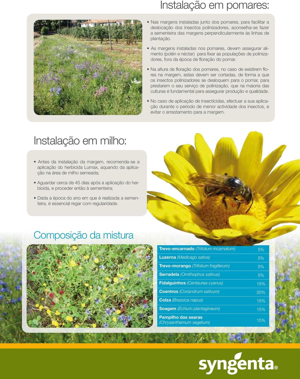 Na altura de floração dos pomares, no caso de existirem flores na margem, estas devem ser cortadas, de forma a que os insectos polinizadores se desloquem para o pomar, para prestarem o seu serviço de