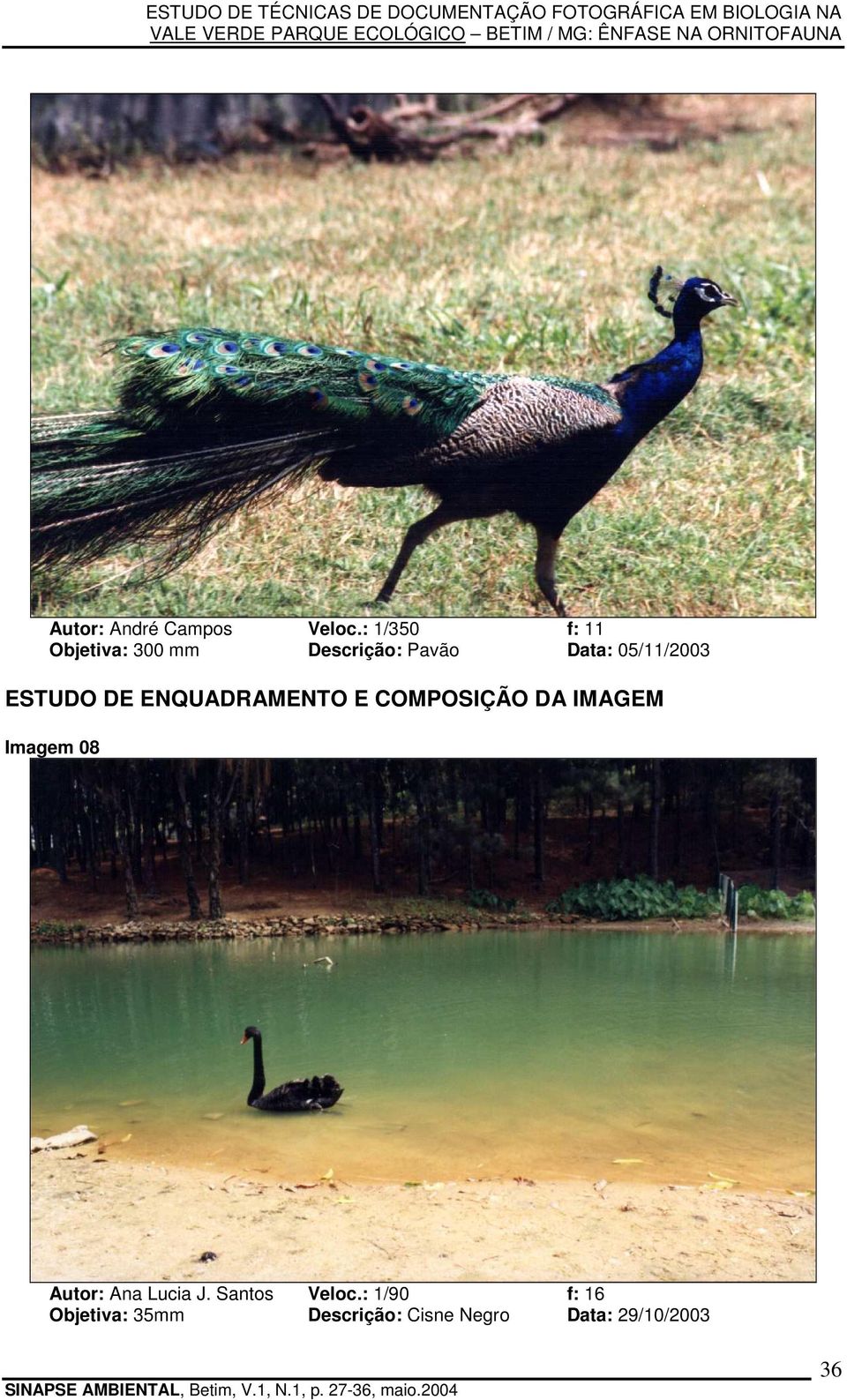 05/11/2003 ESTUDO DE ENQUADRAMENTO E COMPOSIÇÃO DA IMAGEM