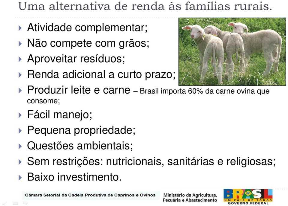 curto prazo; Produzir leite e carne Brasil importa 60% da carne ovina que consome;