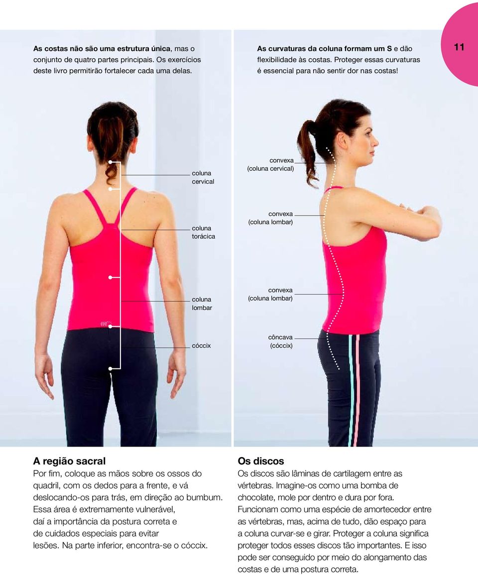 11 coluna cervical convexa (coluna cervical) coluna torácica convexa (coluna lombar) coluna lombar convexa (coluna lombar) cóccix côncava (cóccix) A região sacral Por fim, coloque as mãos sobre os