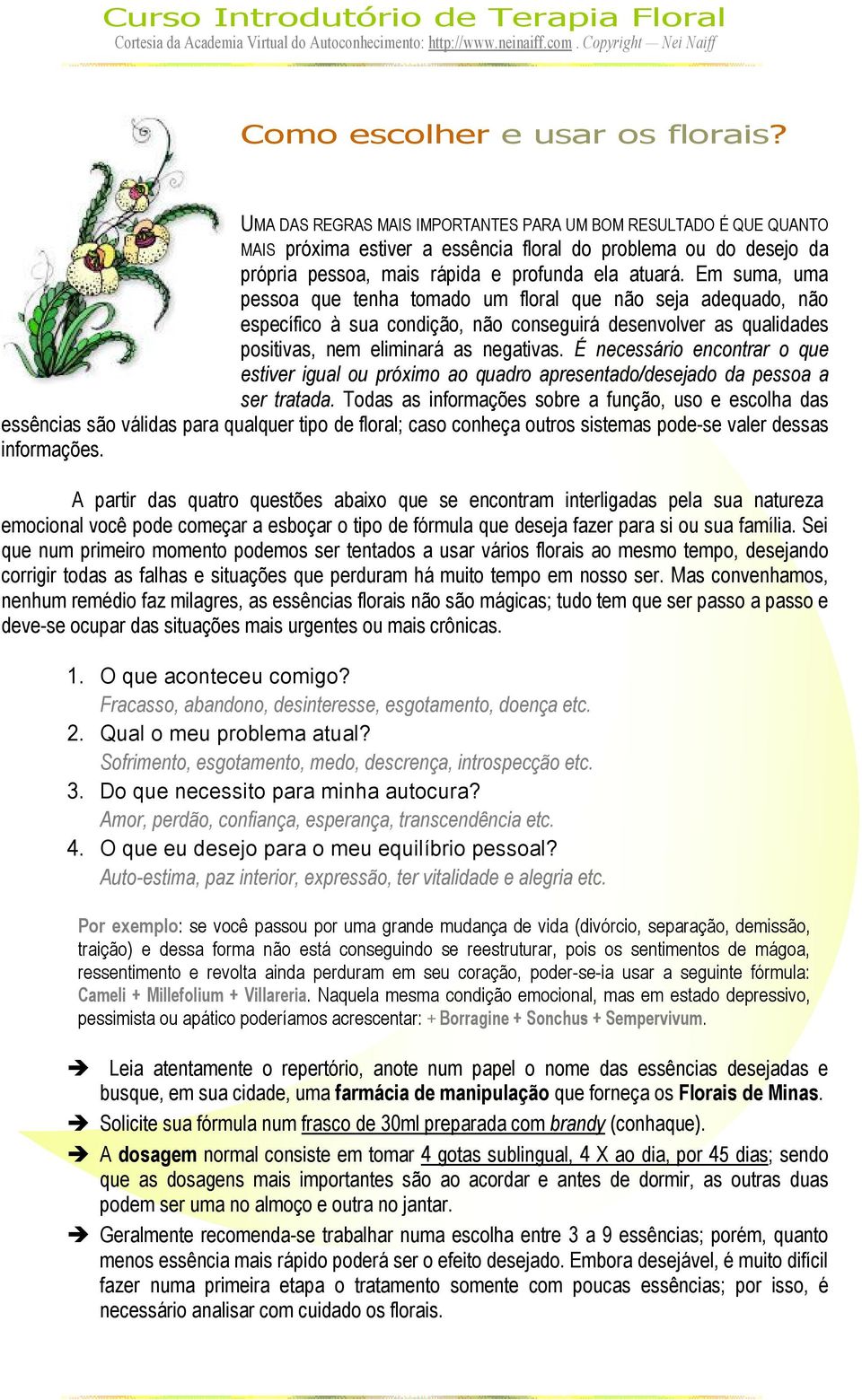 Em suma, uma pessoa que tenha tomado um floral que não seja adequado, não específico à sua condição, não conseguirá desenvolver as qualidades positivas, nem eliminará as negativas.