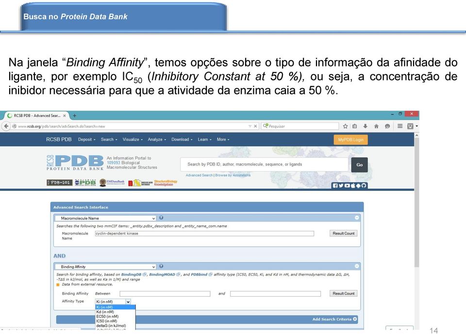 (Inhibitory Constant at 50 %), ou seja, a concentração de