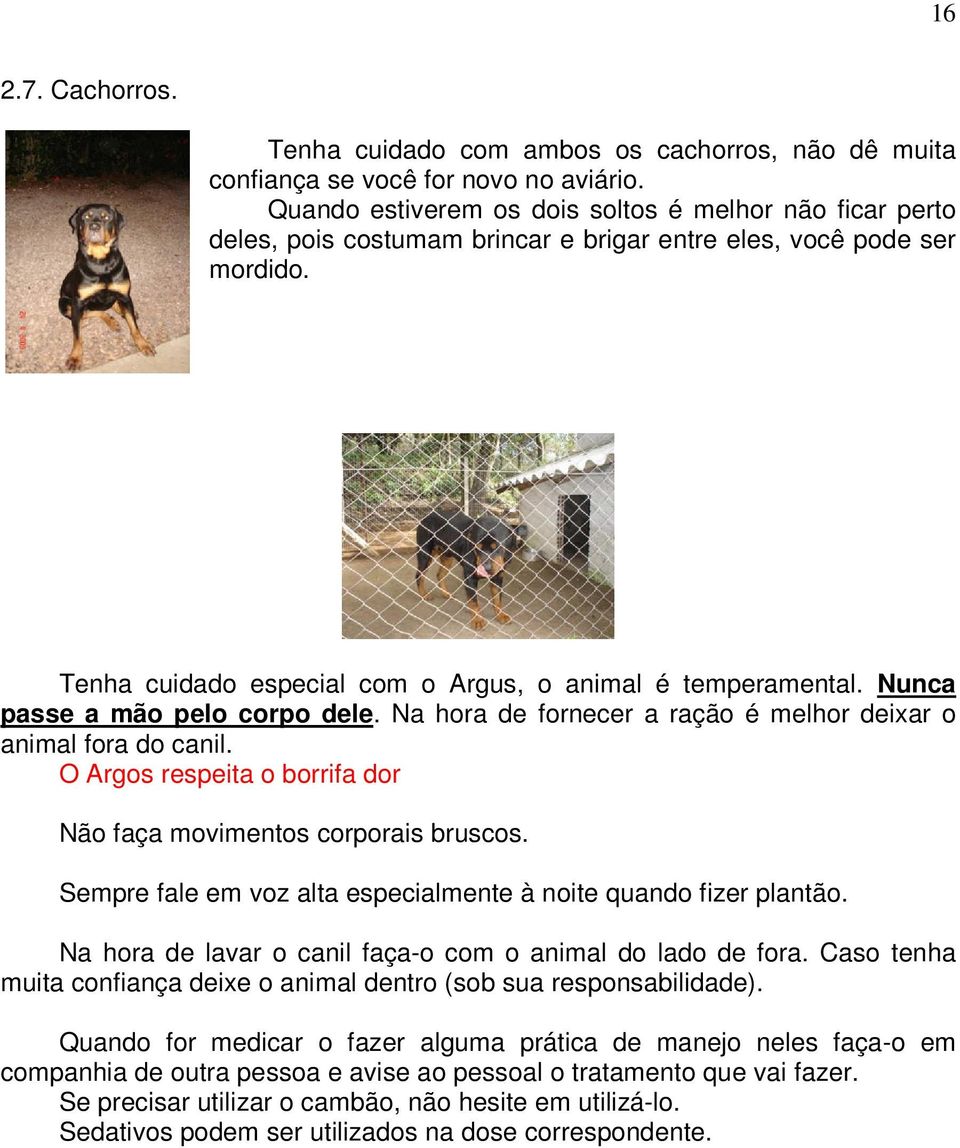 Nunca passe a mão pelo corpo dele. Na hora de fornecer a ração é melhor deixar o animal fora do canil. O Argos respeita o borrifa dor Não faça movimentos corporais bruscos.