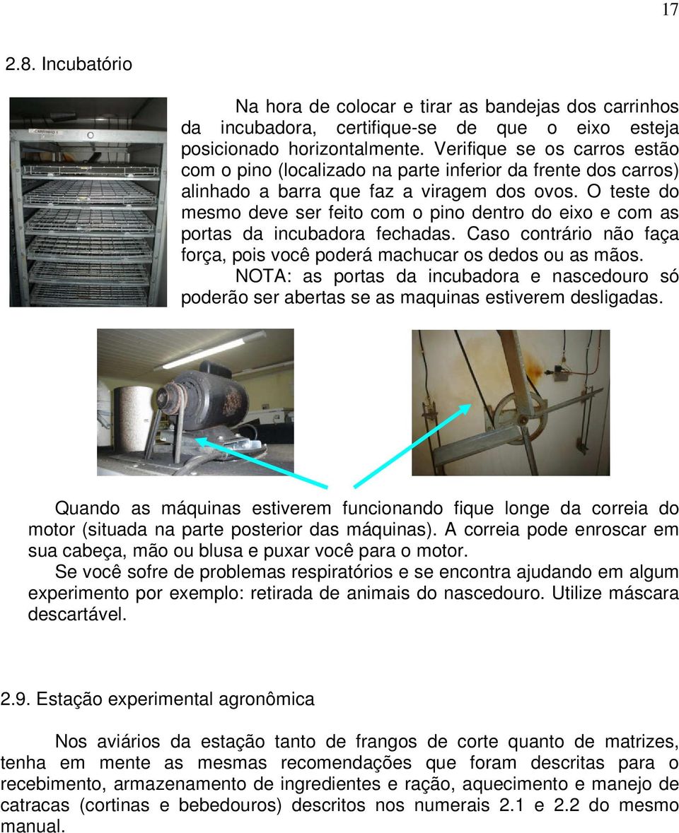 O teste do mesmo deve ser feito com o pino dentro do eixo e com as portas da incubadora fechadas. Caso contrário não faça força, pois você poderá machucar os dedos ou as mãos.