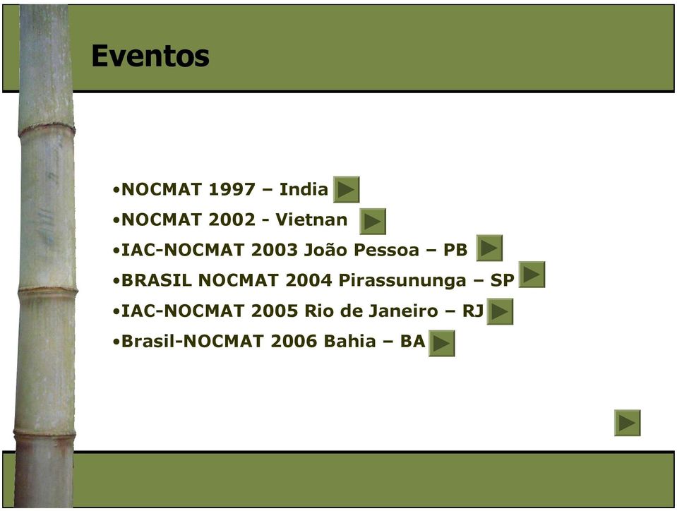 BRASIL NOCMAT 2004 Pirassununga SP