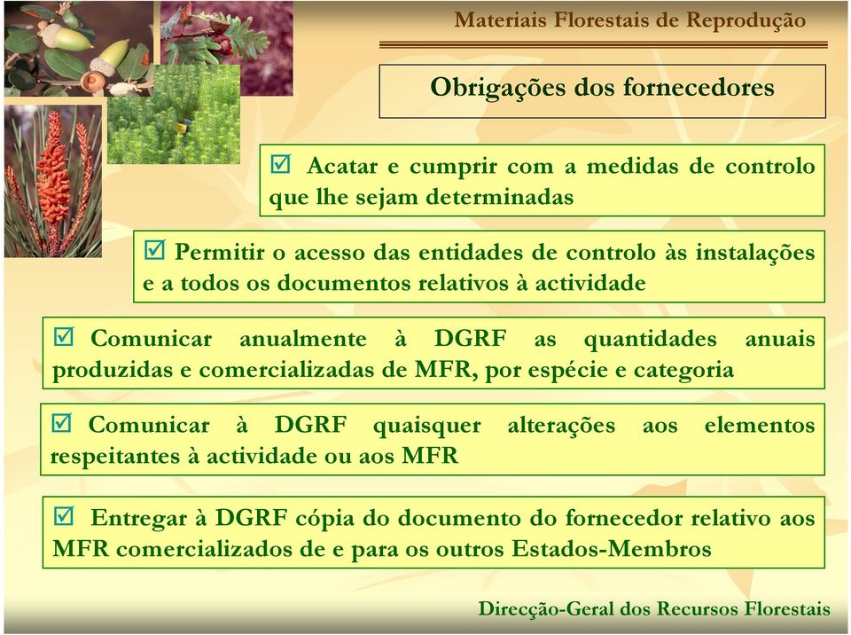 produzidas e comercializadas de MFR, por espécie e categoria Comunicar à DGRF quaisquer alterações aos elementos respeitantes à