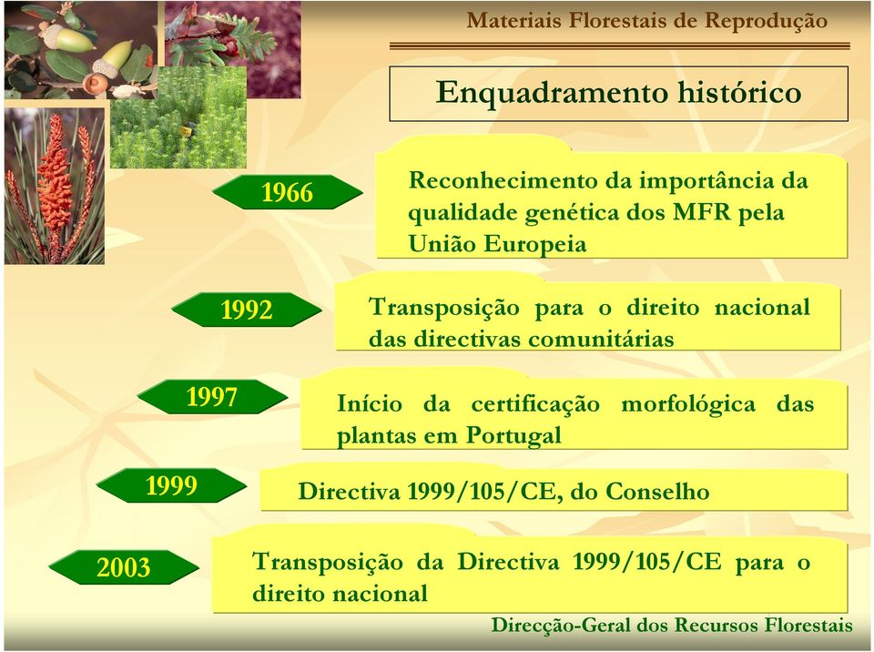 comunitárias 1999 1997 Início da certificação morfológica das plantas em Portugal