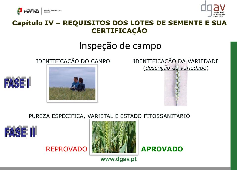 IDENTIFICAÇÃO DA VARIEDADE (descrição da variedade)